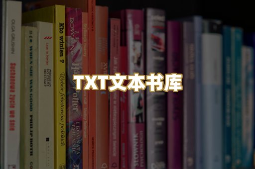 TXT文本书库