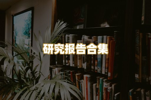 研究报告合集